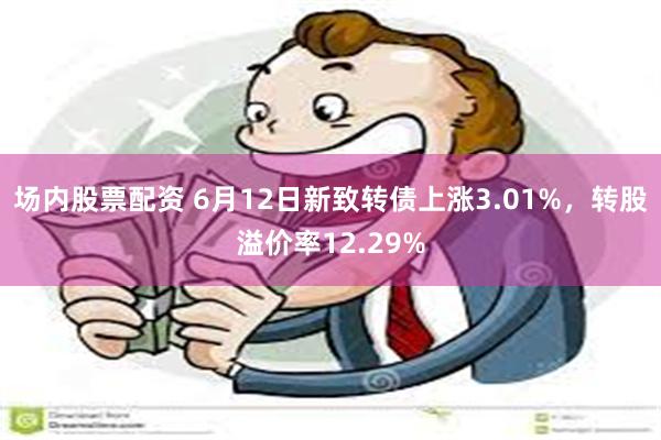 场内股票配资 6月12日新致转债上涨3.01%，转股溢价率12.29%