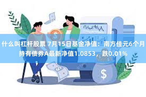 什么叫杠杆股票 7月15日基金净值：南方佳元6个月持有债券A最新净值1.0853，跌0.01%