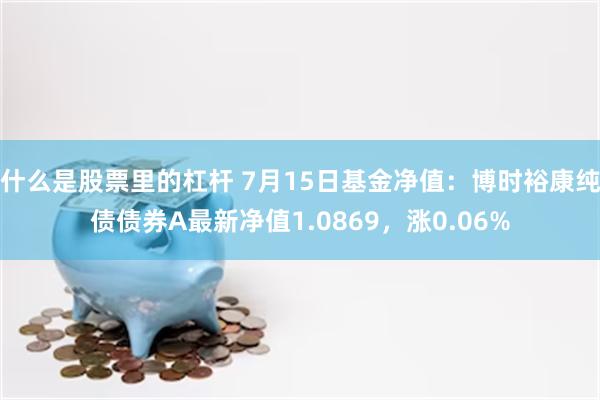 什么是股票里的杠杆 7月15日基金净值：博时裕康纯债债券A最新净值1.0869，涨0.06%