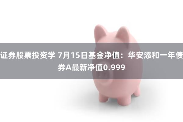 证券股票投资学 7月15日基金净值：华安添和一年债券A最新净值0.999