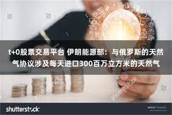 t+0股票交易平台 伊朗能源部：与俄罗斯的天然气协议涉及每天进口300百万立方米的天然气