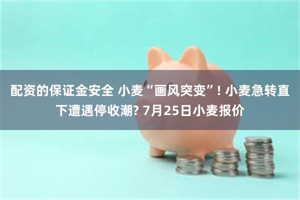 配资的保证金安全 小麦“画风突变”! 小麦急转直下遭遇停收潮? 7月25日小麦报价