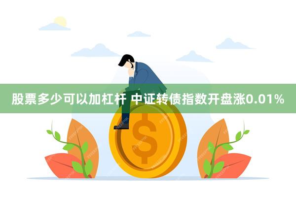 股票多少可以加杠杆 中证转债指数开盘涨0.01%