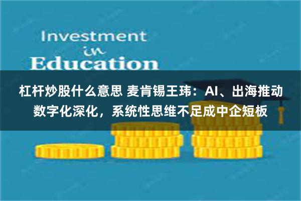 杠杆炒股什么意思 麦肯锡王玮：AI、出海推动数字化深化，系统性思维不足成中企短板