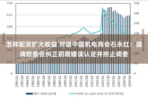 怎样配资扩大收益 对话中国机电商会石永红：提请欧委会纠正初裁错误认定并终止调查