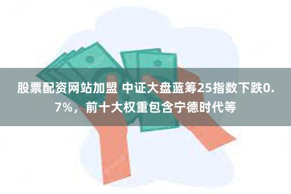 股票配资网站加盟 中证大盘蓝筹25指数下跌0.7%，前十大权重包含宁德时代等