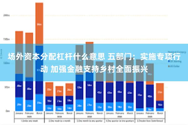 场外资本分配杠杆什么意思 五部门：实施专项行动 加强金融支持乡村全面振兴