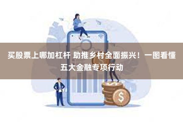 买股票上哪加杠杆 助推乡村全面振兴！一图看懂五大金融专项行动