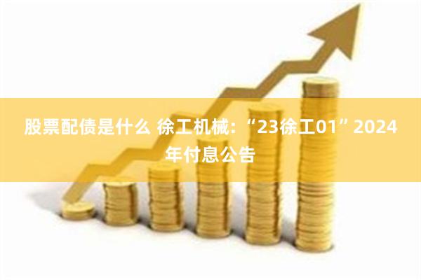 股票配债是什么 徐工机械: “23徐工01”2024年付息公告