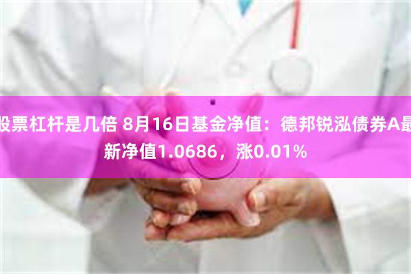 股票杠杆是几倍 8月16日基金净值：德邦锐泓债券A最新净值1.0686，涨0.01%