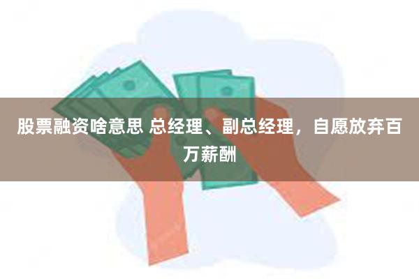 股票融资啥意思 总经理、副总经理，自愿放弃百万薪酬