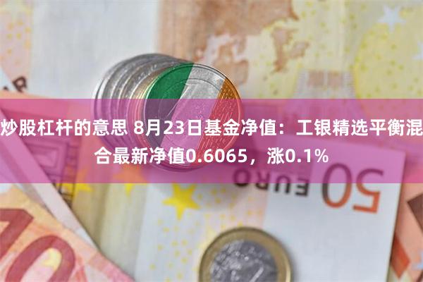 炒股杠杆的意思 8月23日基金净值：工银精选平衡混合最新净值0.6065，涨0.1%