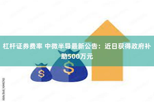 杠杆证券费率 中微半导最新公告：近日获得政府补助500万元