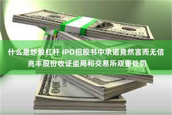 什么是炒股杠杆 IPO招股书中承诺竟然言而无信 兆丰股份收证监局和交易所双重处罚