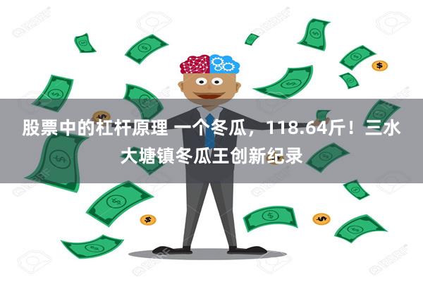 股票中的杠杆原理 一个冬瓜，118.64斤！三水大塘镇冬瓜王创新纪录