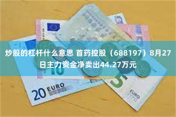 炒股的杠杆什么意思 首药控股（688197）8月27日主力资金净卖出44.27万元