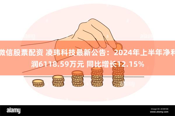 微信股票配资 凌玮科技最新公告：2024年上半年净利润6118.59万元 同比增长12.15%