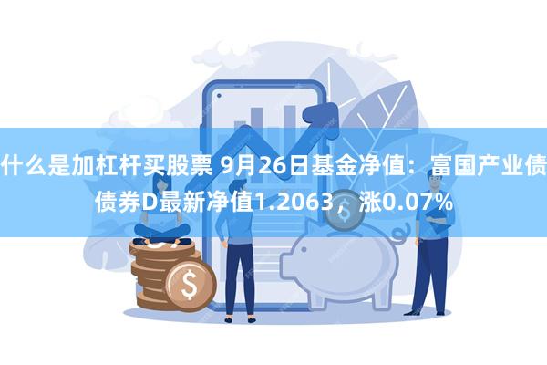 什么是加杠杆买股票 9月26日基金净值：富国产业债债券D最新净值1.2063，涨0.07%