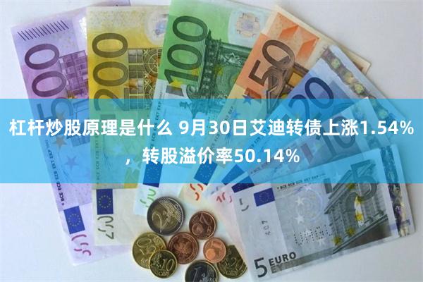 杠杆炒股原理是什么 9月30日艾迪转债上涨1.54%，转股溢价率50.14%