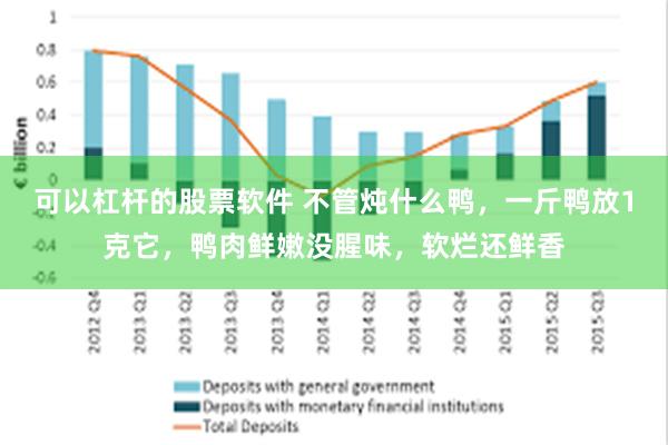 可以杠杆的股票软件 不管炖什么鸭，一斤鸭放1克它，鸭肉鲜嫩没腥味，软烂还鲜香