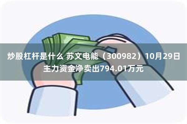 炒股杠杆是什么 苏文电能（300982）10月29日主力资金净卖出794.01万元