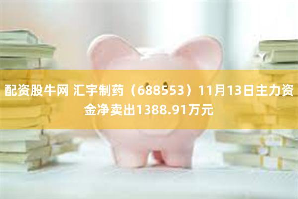 配资股牛网 汇宇制药（688553）11月13日主力资金净卖出1388.91万元