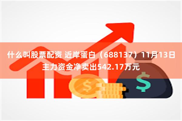 什么叫股票配资 近岸蛋白（688137）11月13日主力资金净卖出542.17万元