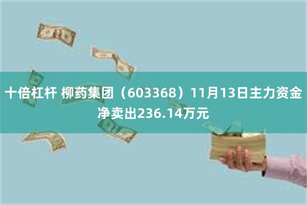 十倍杠杆 柳药集团（603368）11月13日主力资金净卖出236.14万元