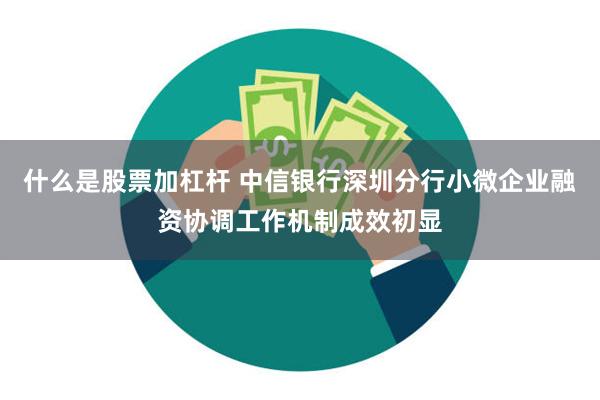 什么是股票加杠杆 中信银行深圳分行小微企业融资协调工作机制成效初显