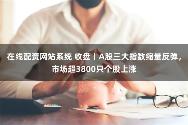 在线配资网站系统 收盘丨A股三大指数缩量反弹，市场超3800只个股上涨