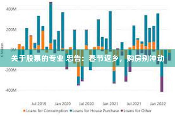 关于股票的专业 忠告：春节返乡，购房别冲动