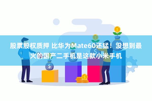 股票股权质押 比华为Mate60还猛！没想到最火的国产二手机是这款小米手机