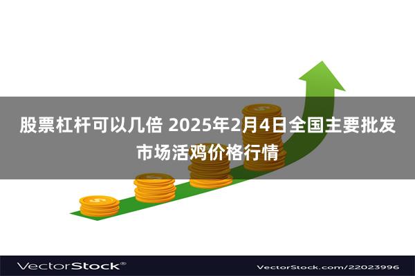 股票杠杆可以几倍 2025年2月4日全国主要批发市场活鸡价格行情