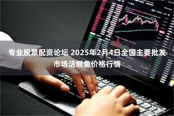 专业股票配资论坛 2025年2月4日全国主要批发市场活鳜鱼价格行情